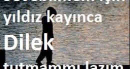 Sitem Sözleri, Kısa Sitem Sözleri