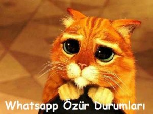 whatsapp-ozur-durumlari