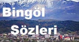Bingöl Sözleri – Bingöl Komik Sözler