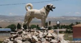 Sivas Sözleri – Sivas İle İlgili Sözler
