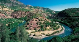 Tunceli Sözleri – Dersim Sözleri