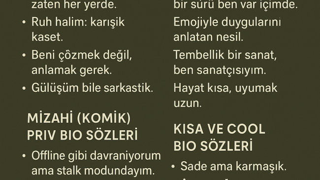 Priv Bio Sözleri: En Havalı, Anlamlı ve Kısa Biyografi Önerileri (2025)