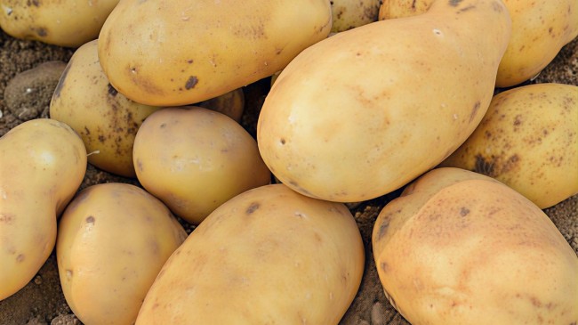 Patates Tüketmenin Faydaları ve Sakıncaları