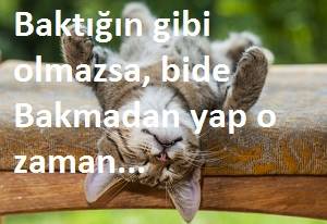 İlginç Sözler, Etkileyici İlginç Sözler