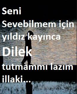 Sitem Sözleri, Kısa Sitem Sözleri