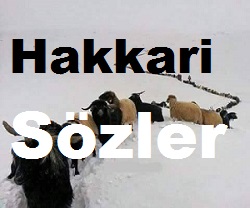Hakkari Sözleri – Hakkari Güzel Sözler