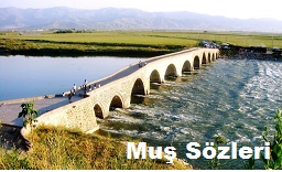 Muş Sözleri – Güzel Muş Sözleri