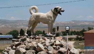 Sivas Sözleri – Sivas İle İlgili Sözler