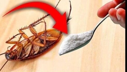 Sadece bir avuç dolusu ve onları bir daha asla göremeyeceksiniz