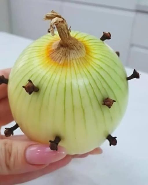 Babaannem soğana hep karanfil sokardı