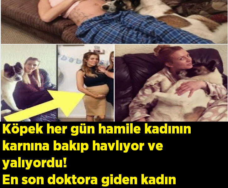 Köpek her gün hamile kadının karnına bakıp havlıyordu