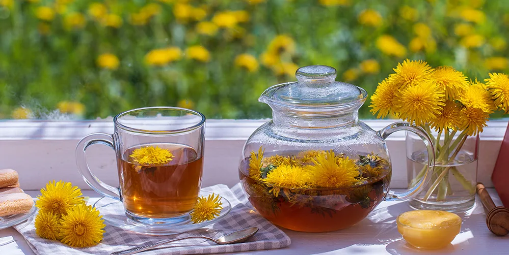 İbn-i Sina bin yıl önce tavsiye etti, bilim insanları doğruladı! Şeker hastalığına şifa oluyor, karaciğeri iyileştiriyor…