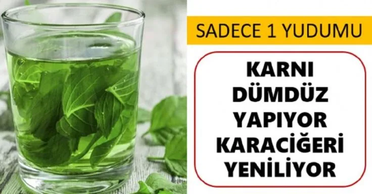 HEMEN ETKİ GÖSTERİYOR. GÖBEĞİ DÜMDÜZ YAPIN. KARACİĞERİ YENİLEYİN