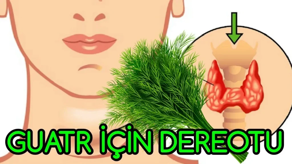 Doktorlar bunu size asla söylemez