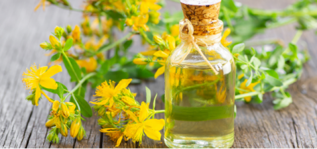 Kantaron Yağının Her Derde Devası