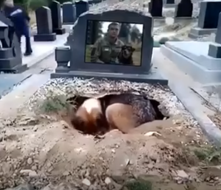 Birkaç Gün Sonra Mezarlık Yönetimi Oğluna Babasının Mezarına Köpek Çukuru