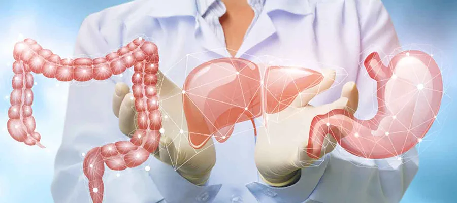 Mide ve bağırsak ülserlerinde, İnflamatuar bağırsak hastalıklarında faydalıdır.