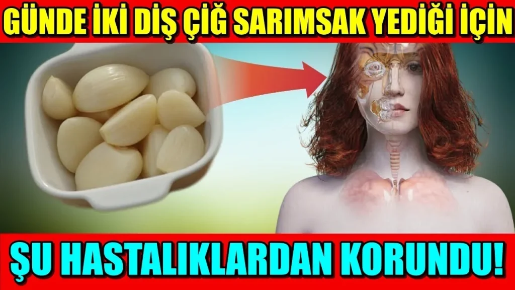 Günde bir diş çiğ sarımsak yemek doktoru uzak tutar (hayatınızı bile kurtarabilir)…
