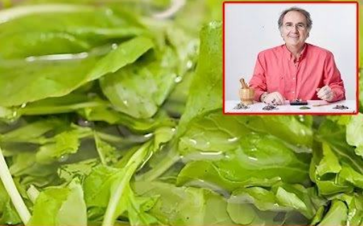 Prof. Dr. Saraçoğlu Kürü