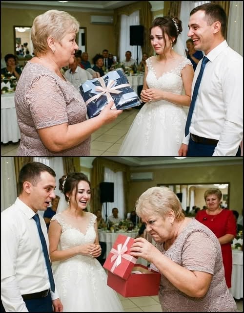 Kayınvalidem bize düğün hediyesi olarak bir hizmetçi üniforması verdi ve “Evimizde yerini bileceksin” dedi; ama anne babamın hediyesini gördüğünde öfkeden çıldırdı