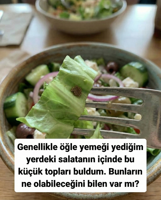 Her şey sıradan bir öğle arasıyla başladı