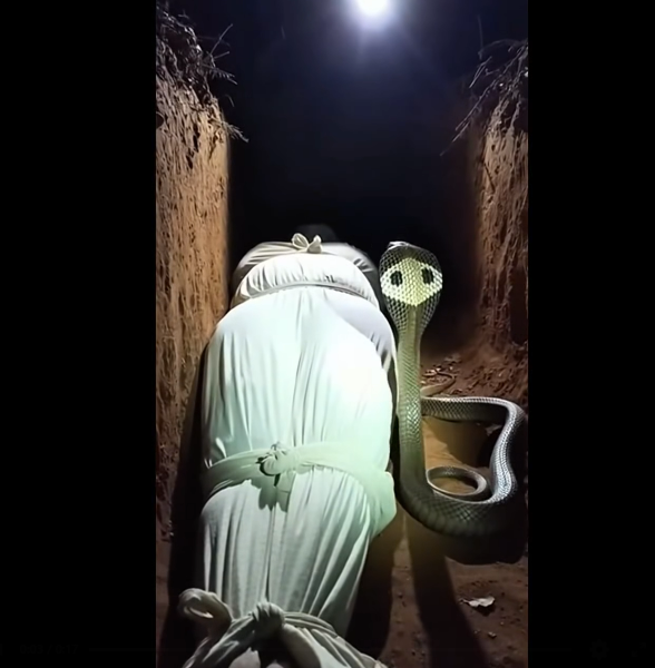 Bir Hafta Önce Defnedilen Adamın Mezarında Görülen Kobra, Tüm Kasabayı Ayağa Kaldırdı