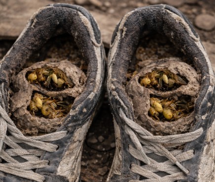 O sabah garajda bulduğum şey aklımı kaçıracaktım…