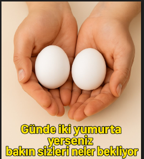 Her Gün 2 Yumurta Yerseniz Ne Olur? Bilimsel Gerçekler ve Vücudunuzdaki Değişimler