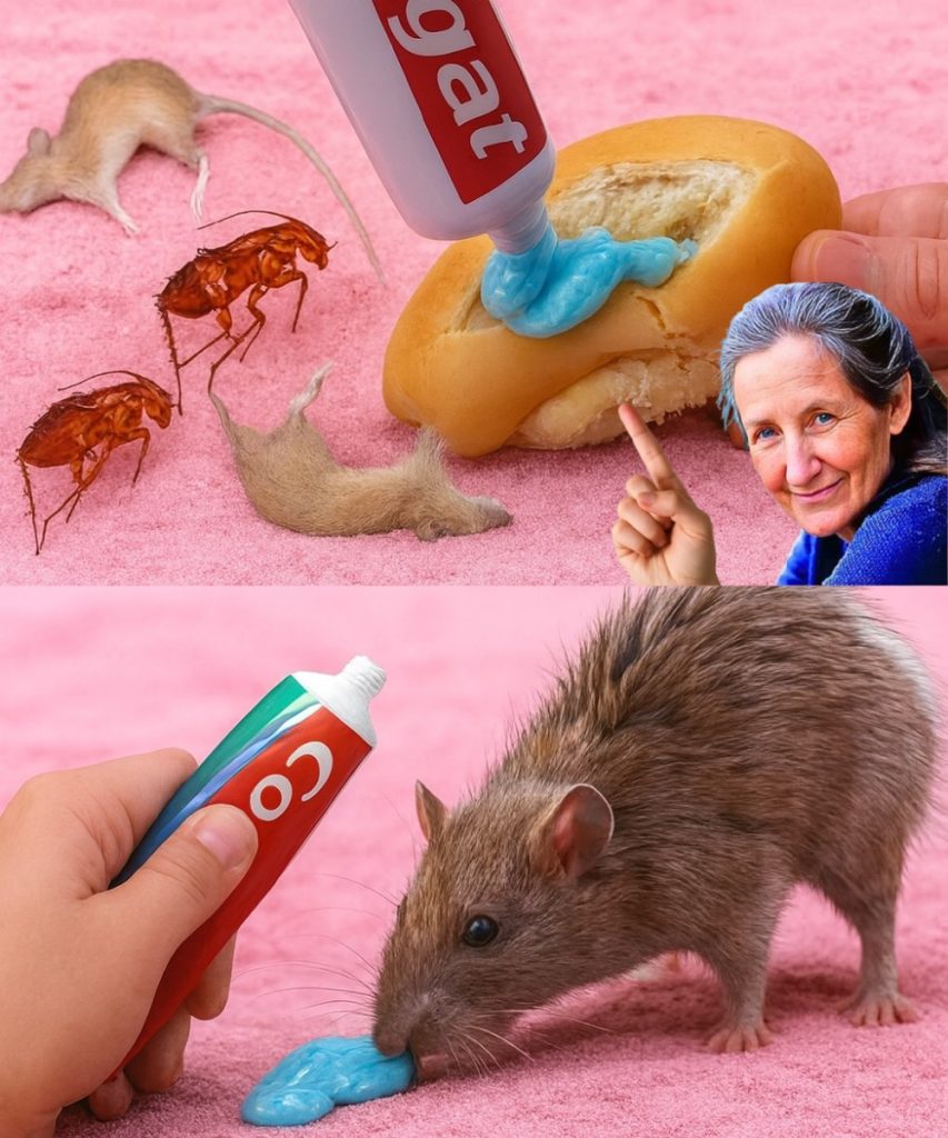 Hamam Böceklerine ve Sıçanlara Doğal Yollarla Elveda Deyin