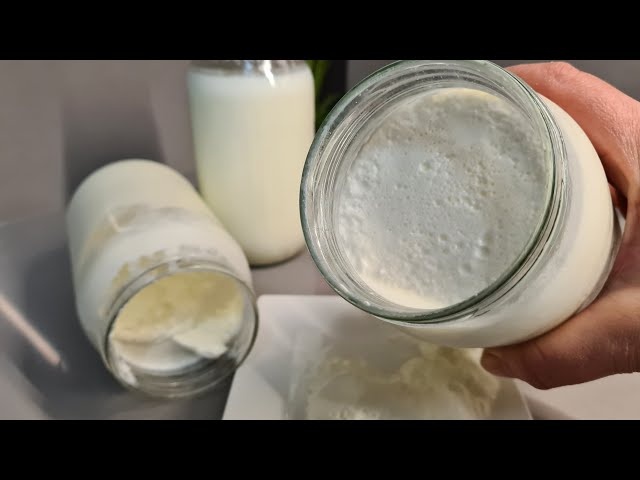 Evde Sert Yoğurt Yapmanın Püf Noktaları – Taş Gibi Yoğurt İçin 9 Altın Kural